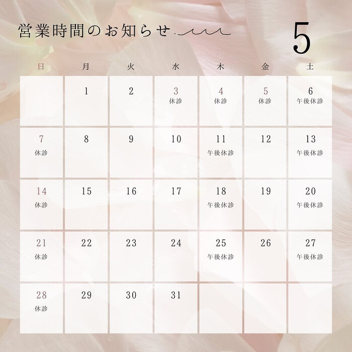 画像257