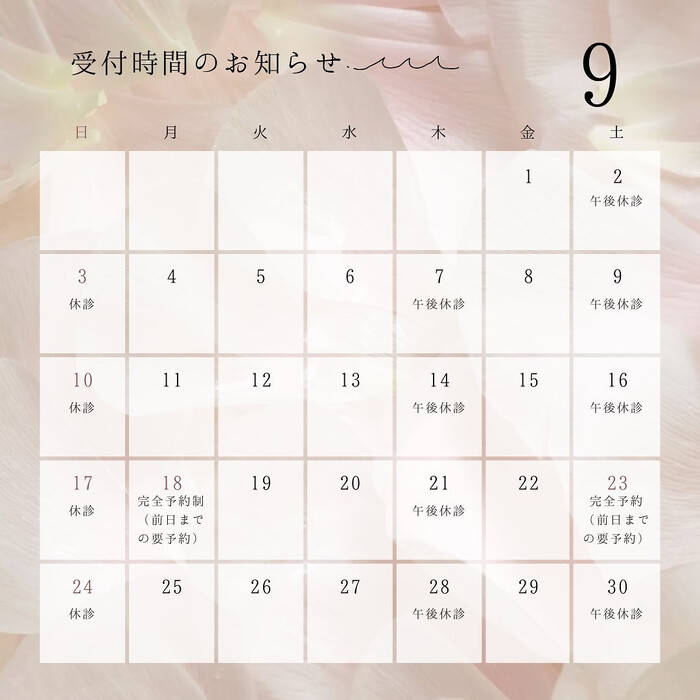 画像305